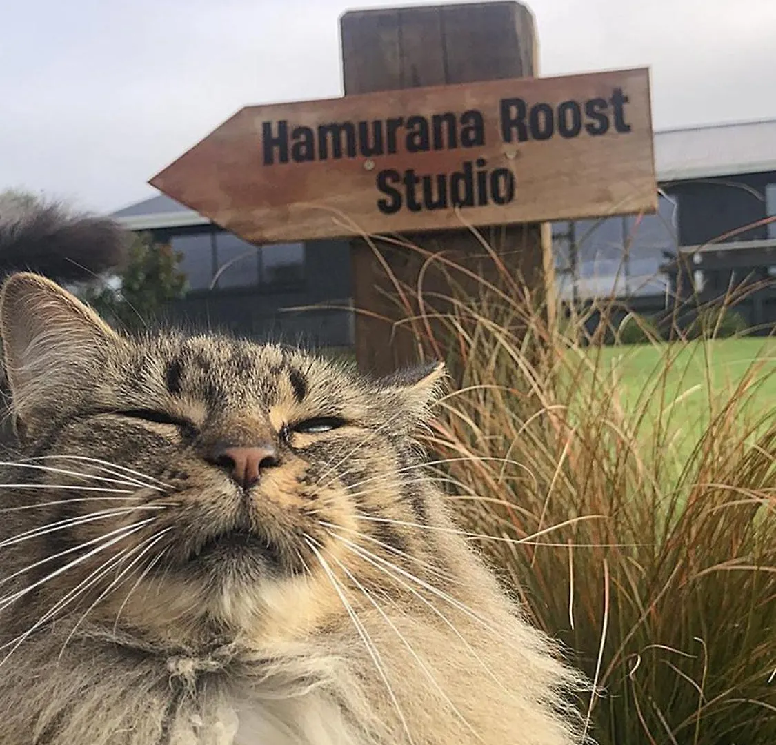 Hamurana Roost Роторуа 0*,  Новая Зеландия